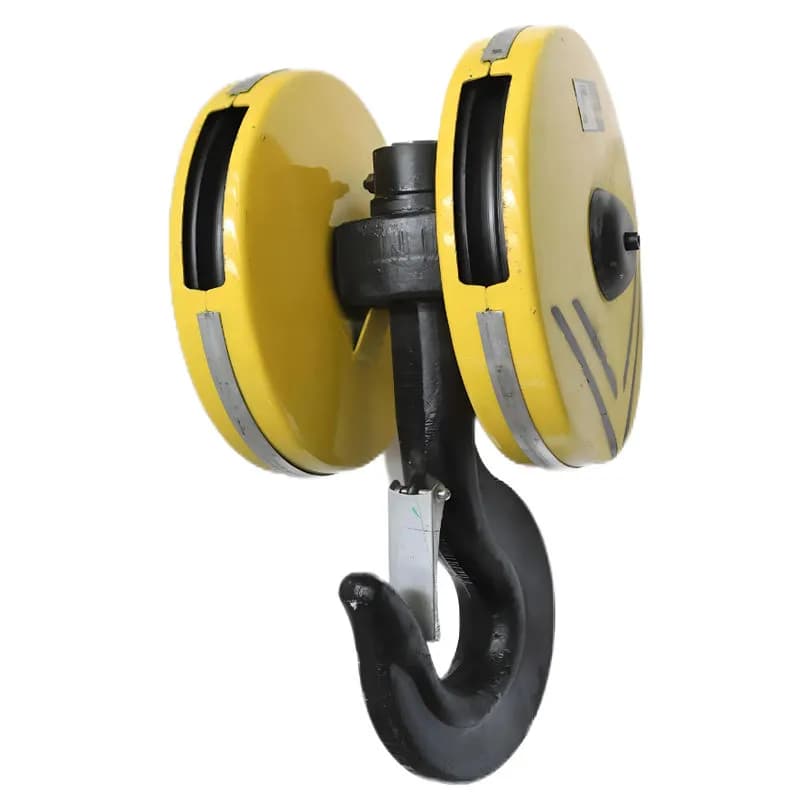 Móc cẩu Palang châu âu 10T