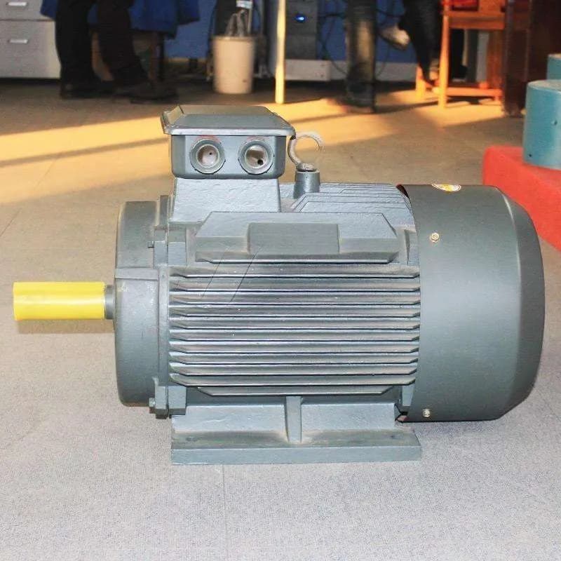 Động cơ 380V (mô tơ chân đế) YE3-200L-4-30kw