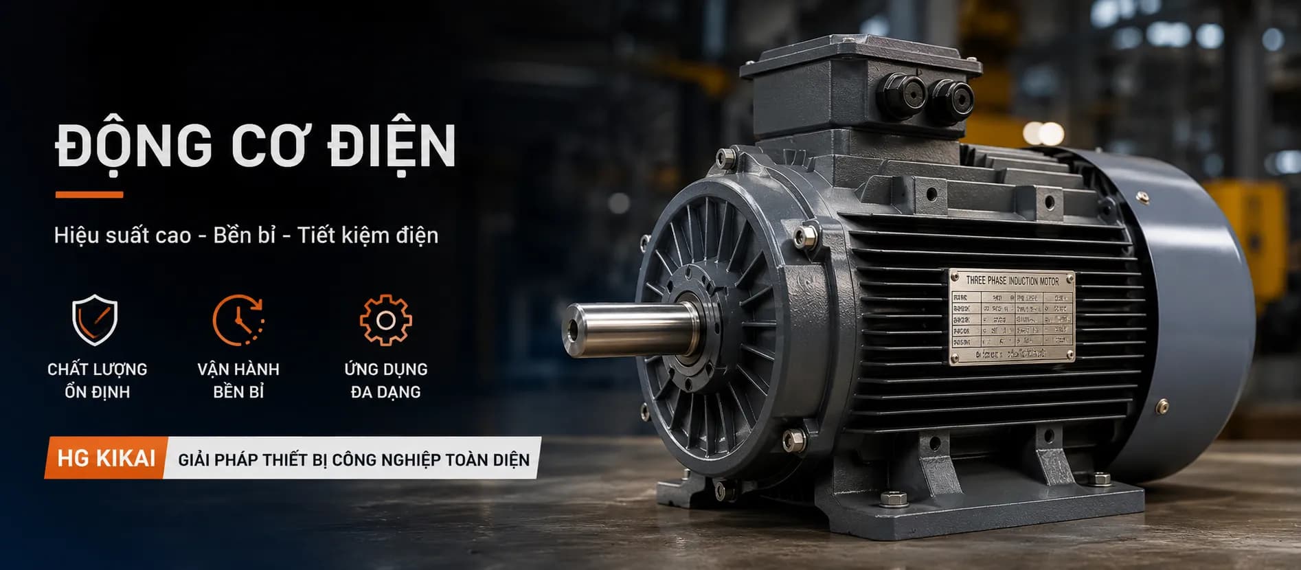 động cơ điện hg kikai